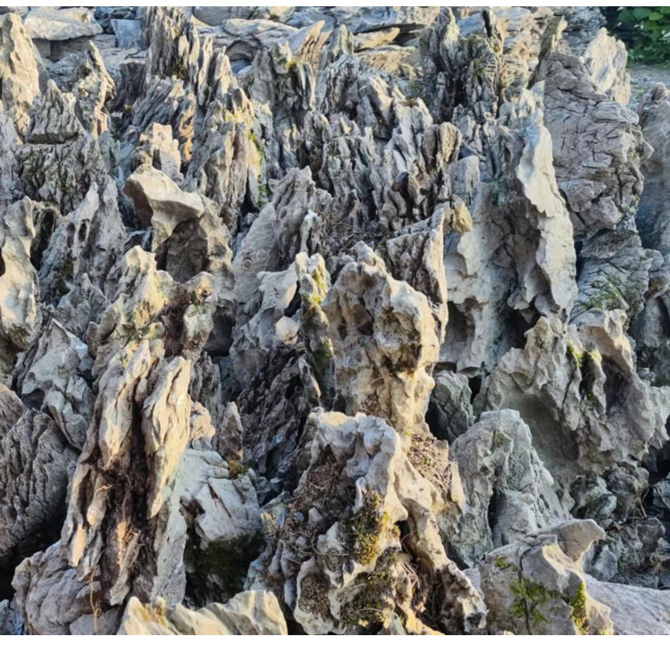 矢向庭院景观鱼池石头英德假山石头天然原石大型园林庭院户外盆景鱼池