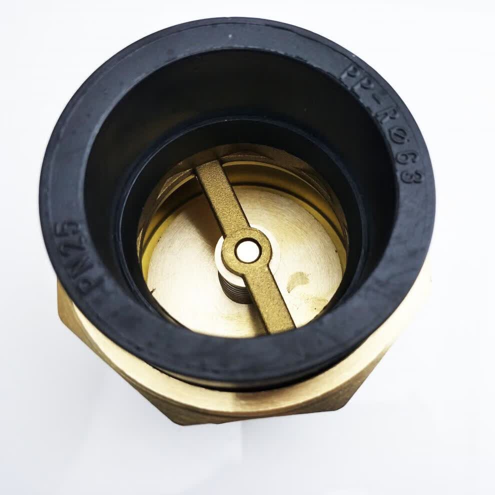 pe黄铜止回阀水管水表dn152025单向阀46分1寸立式卧式逆止阀63普通pe