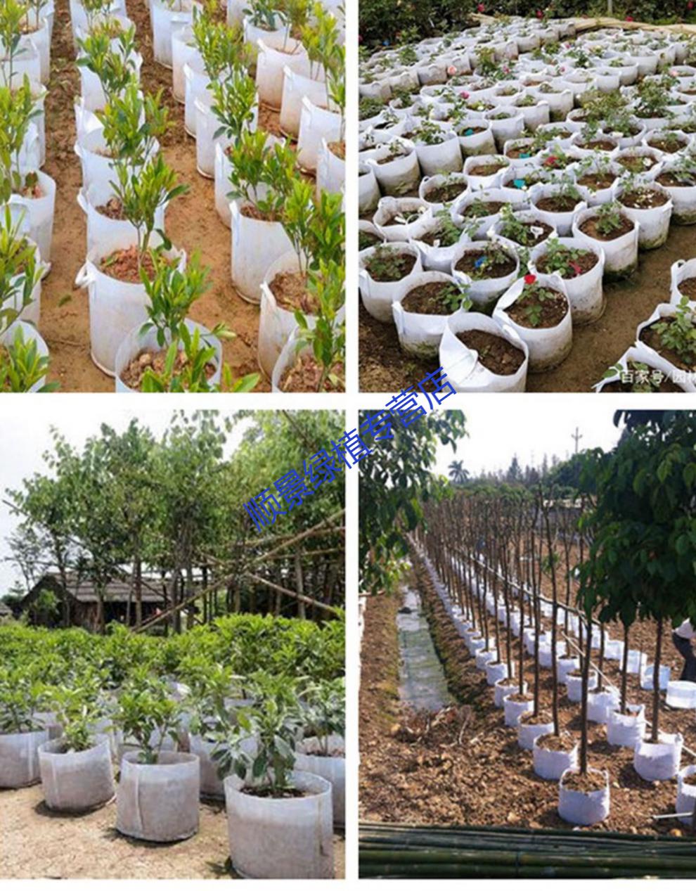 无纺布美植袋加厚超特大月季育苗袋黑白色植树种植袋花盆花卉布袋100