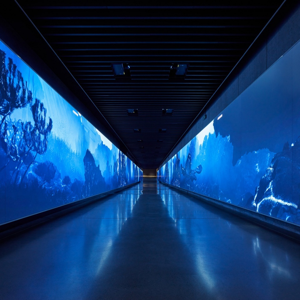 投影仪极米同款家用裸眼3d全息墙地面互动投影酒吧沉浸式5d餐厅室内