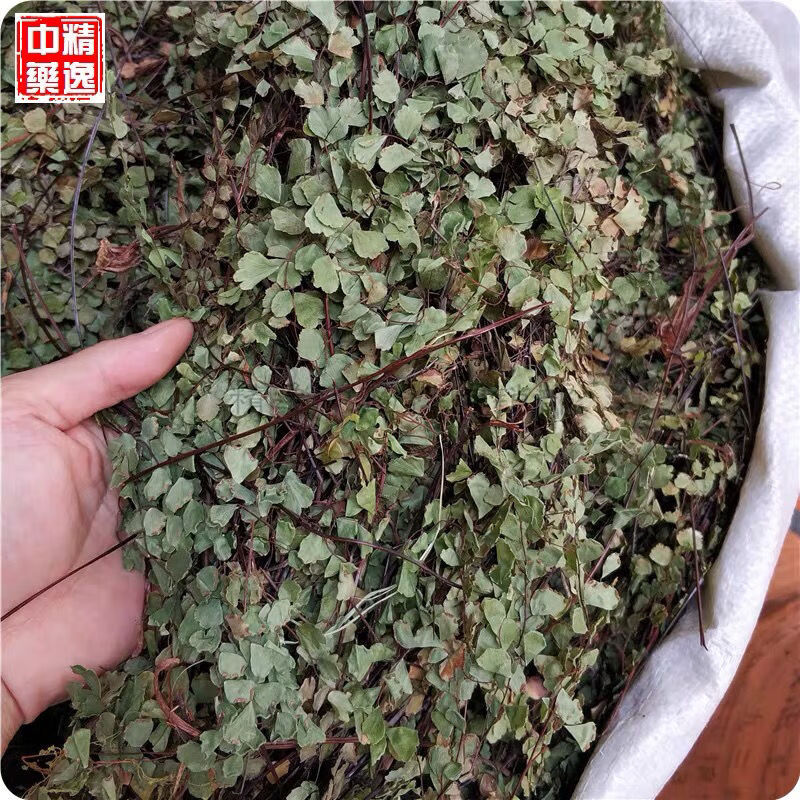 铁线草中材500克铁线草猪鬃草铁线蕨天然猪毛七铁丝草伊梵麦500g