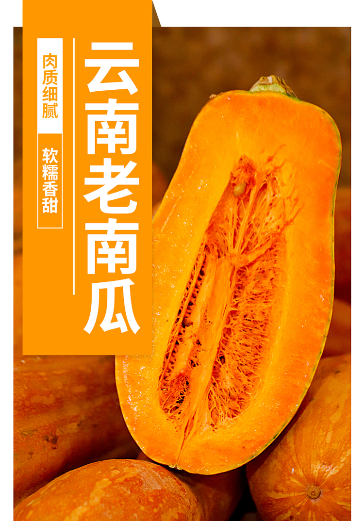 源外云南老南瓜 新鲜现摘老南瓜高原农家自种老品种粉糯香甜 老南瓜