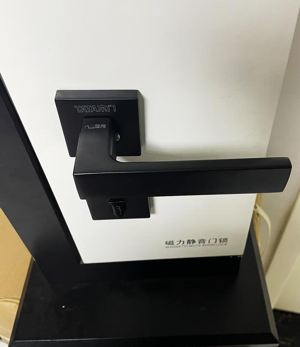 tata门锁尼克具极简轻奢静音磁吸美式卧室内房把手门分体 sg201亮金色