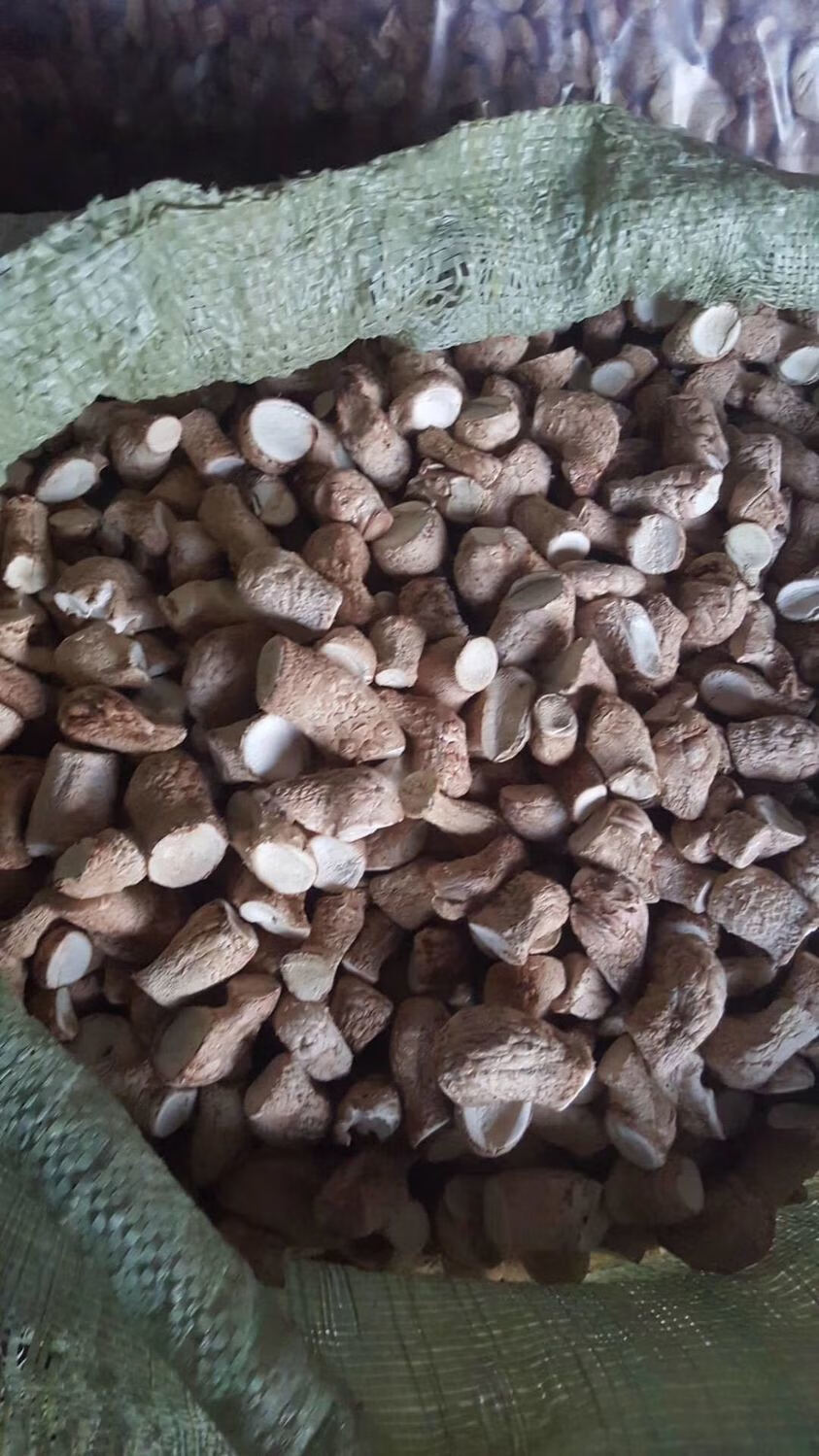 双剪香菇腿丁丝干货批发香菇脚饺子包子馅料香菇柄农家土特产菌柄