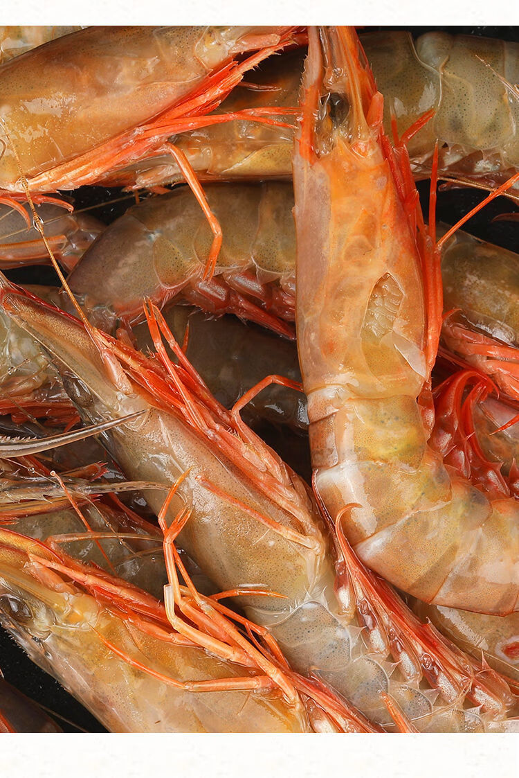 滑皮虾硬壳虾剑虾鹰抓虾海捕 3斤(每斤60-70只) 江浙沪皖地区专拍