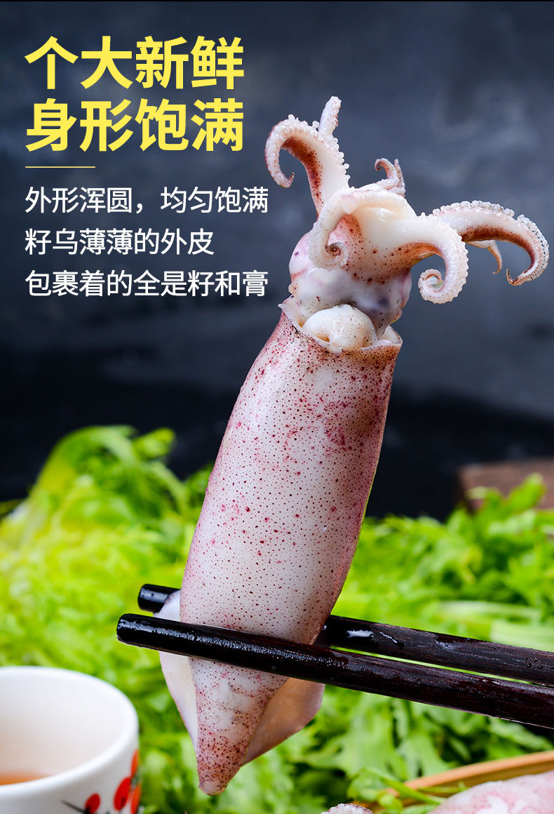 满籽籽乌全籽籽乌生鲜海兔笔管鱼墨鱼鱿鱼墨斗鱼烧烤海鲜 【精选原籽
