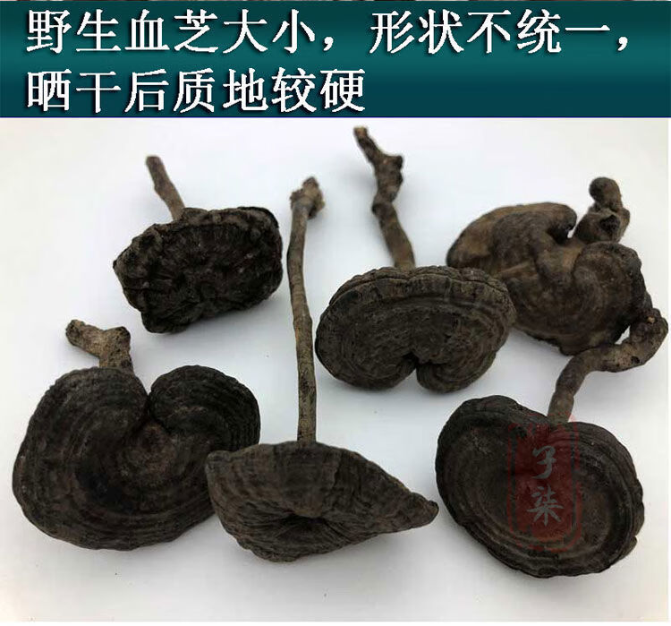 香血灵芝深山黑芝黑灵芝乌芝皱盖假芝可切灵芝片泡