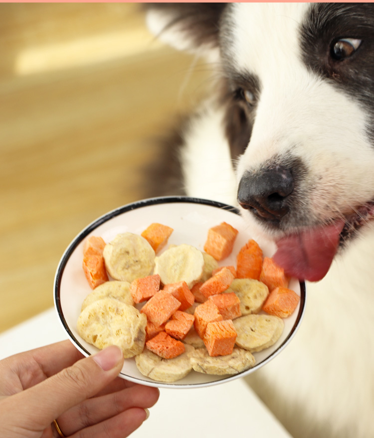 狗狗冻干蔬菜水果日本petio派地奥冻干狗狗零食蔬菜水果鸡肝南瓜宠物