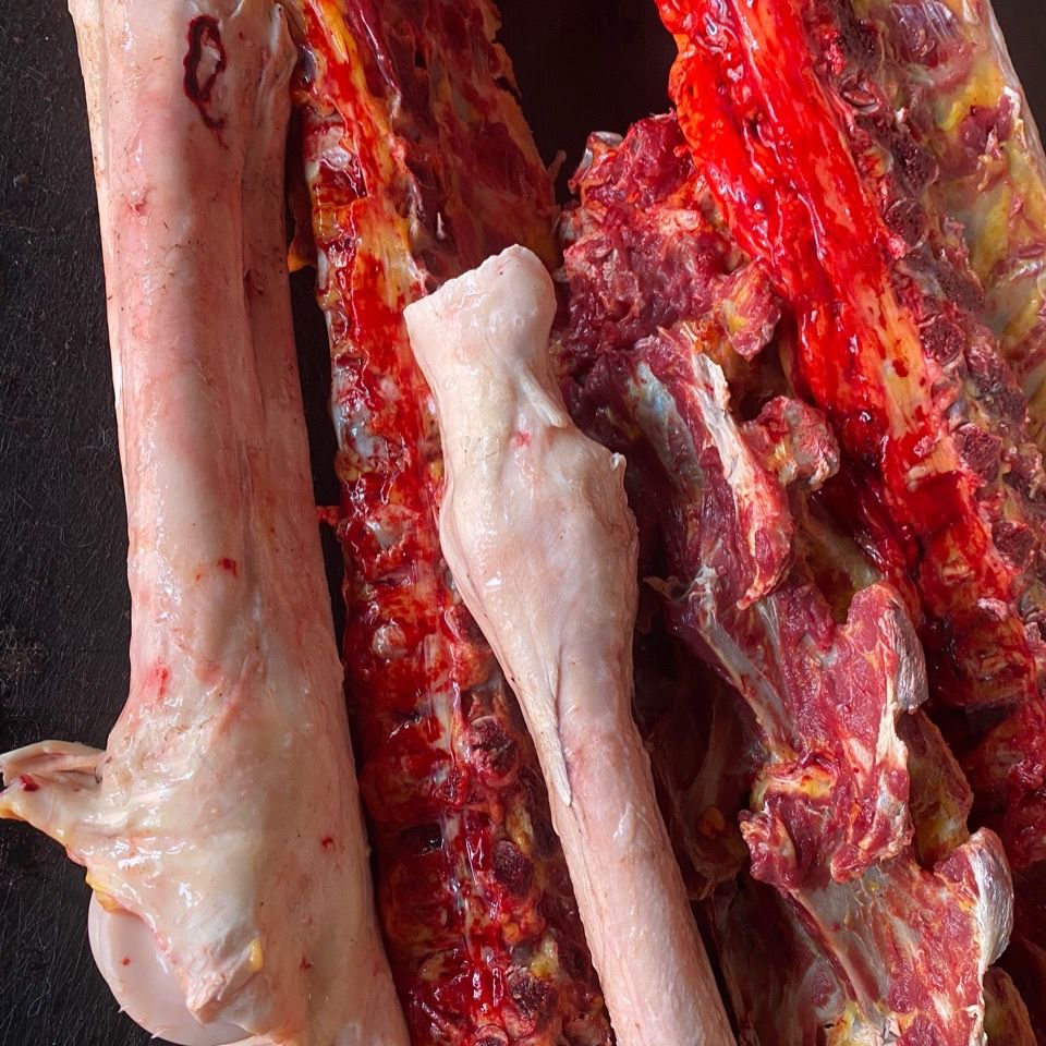 驴骨头新鲜生驴骨头新鲜骨头驴筒骨腿骨棒骨鲜驴骨头2000g