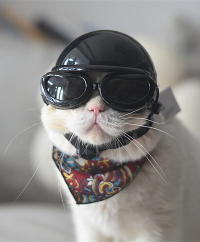 猫咪用的头盔猫咪头盔宠物机车哈雷摩托帽子安英短狗狗小型犬太阳镜