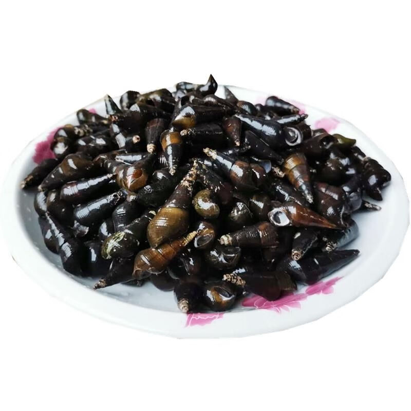 广西新鲜山坑螺野河坑螺黑钉螺黑螺长螺丝山螺特产 3斤中小个(直径1.