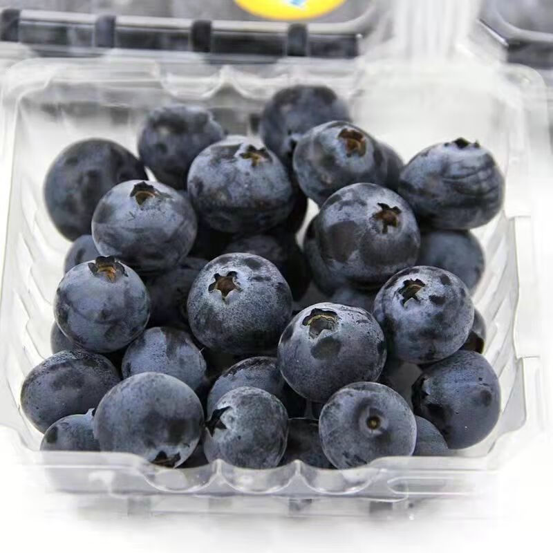 顺丰jd空运送礼佳品蓝莓云南怡颗莓蓝莓鲜果孕妇当季新鲜水果蓝莓王4