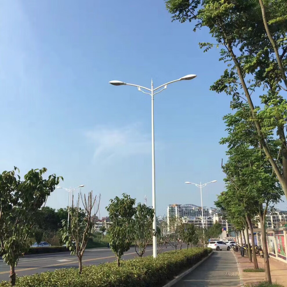 市电双头单头高低路灯防爆路灯高杆灯球场6米8米10米12米15米20米 自