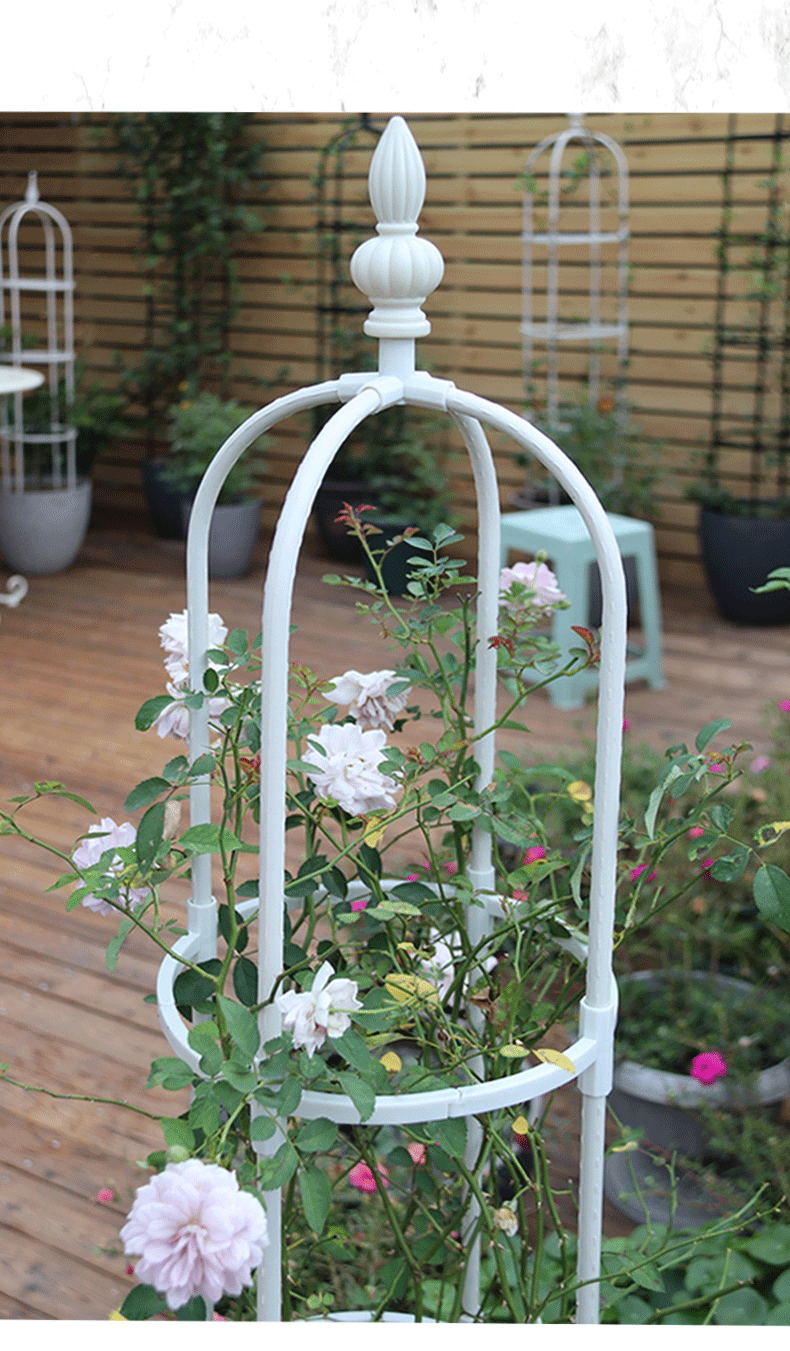 2022 新款 盆栽植物支架新款欧式绿植u型11mm月季攀爬花架植物户外