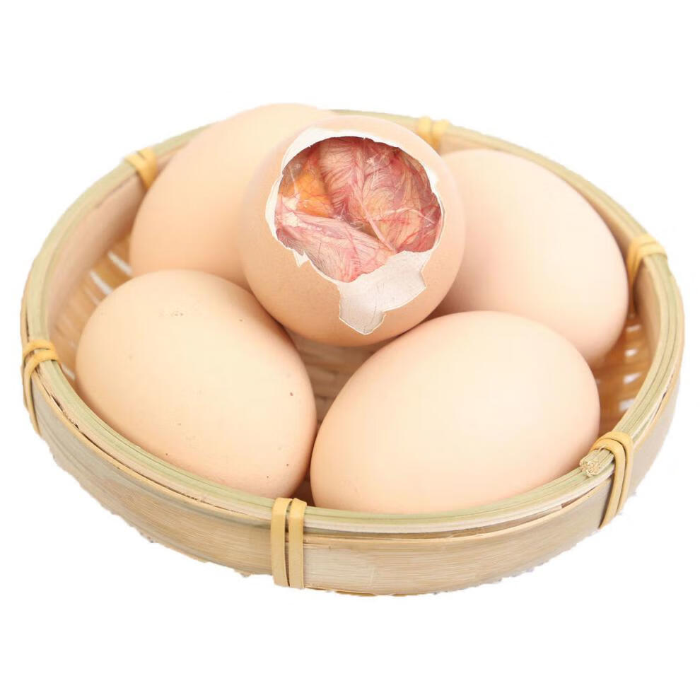 毛蛋毛鸡蛋1821天毛鸡蛋鸡胚蛋凤凰蛋烧烤生的昌盛隆40枚毛鸡蛋