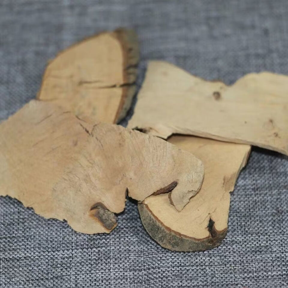 【官方旗舰】八角枫 中药材八角枫 八角枫根 八角风 白龙须 冷背药材