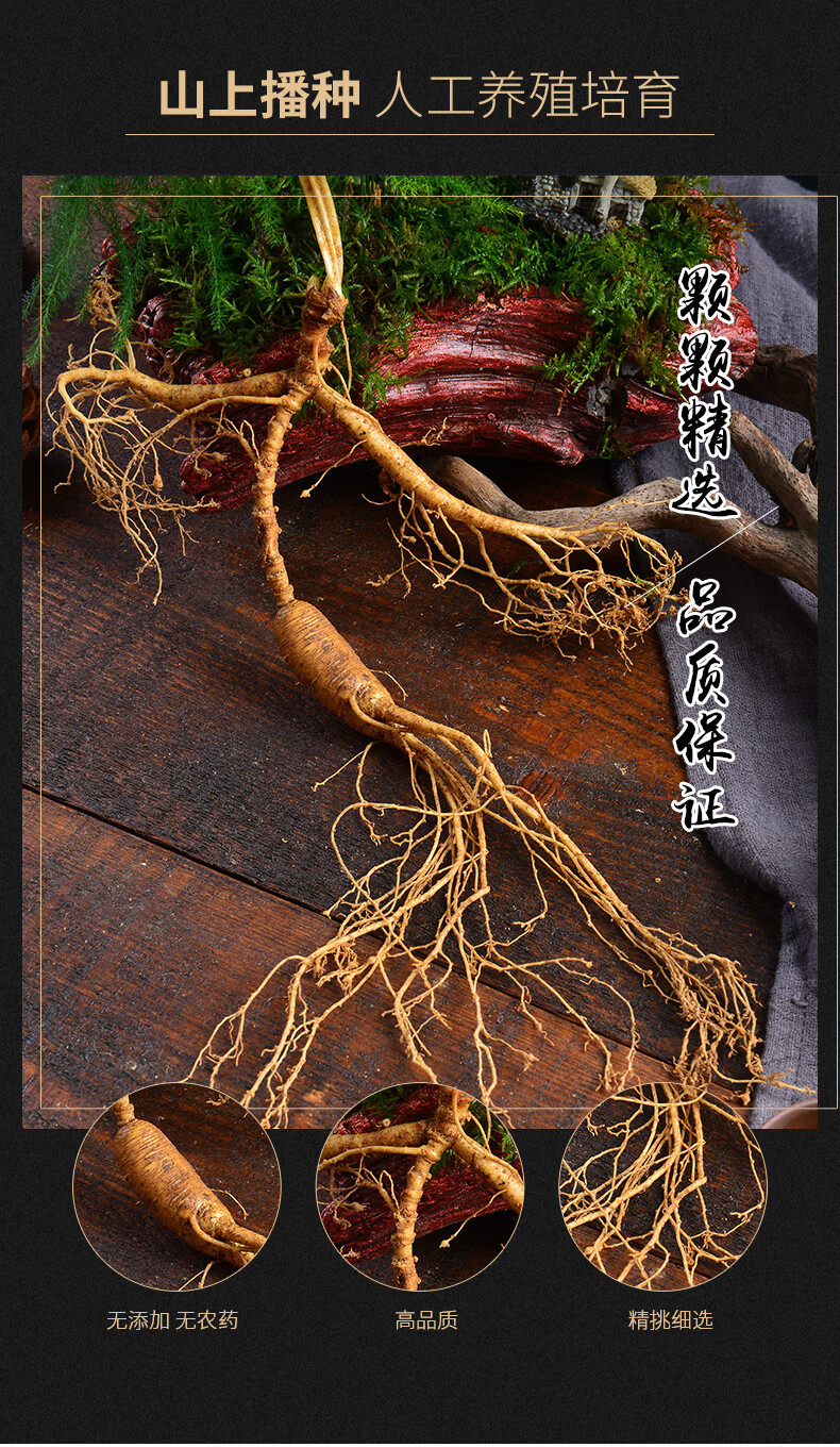 参带土泡酒煲汤炖鸡20年野生东北鲜人参 新鲜山参35--39克【图片 价格