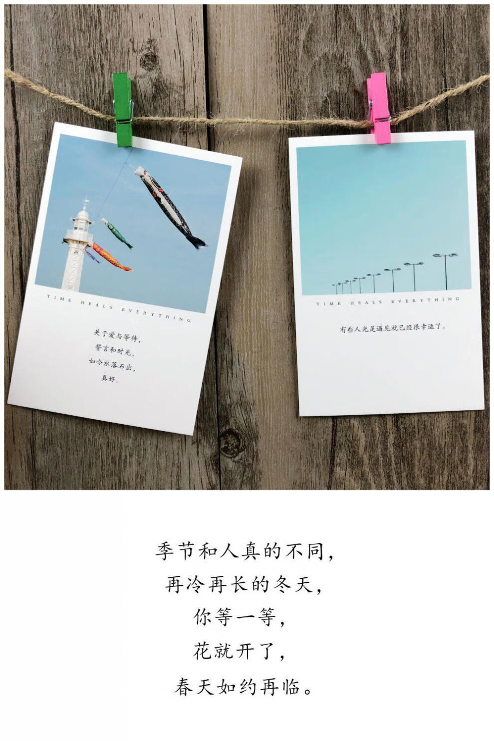 网红款未来的你名人名言正能量学生励志卡片小清新文艺贺卡明信片北极