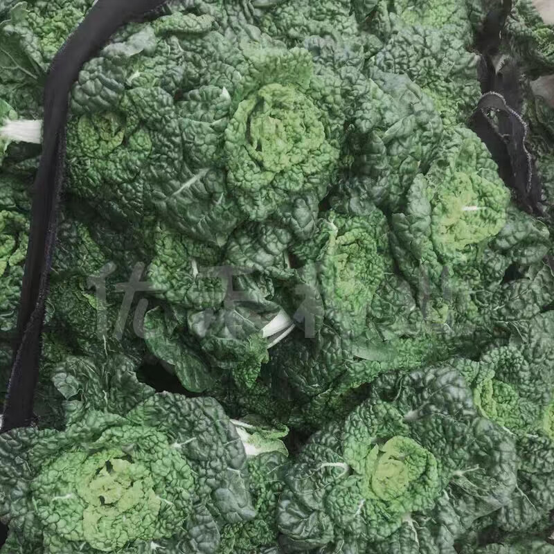 信研墨冠黑心乌种子耐寒乌塌菜种子籽黑白菜秋冬黑菜蔬菜种子籽孑 20