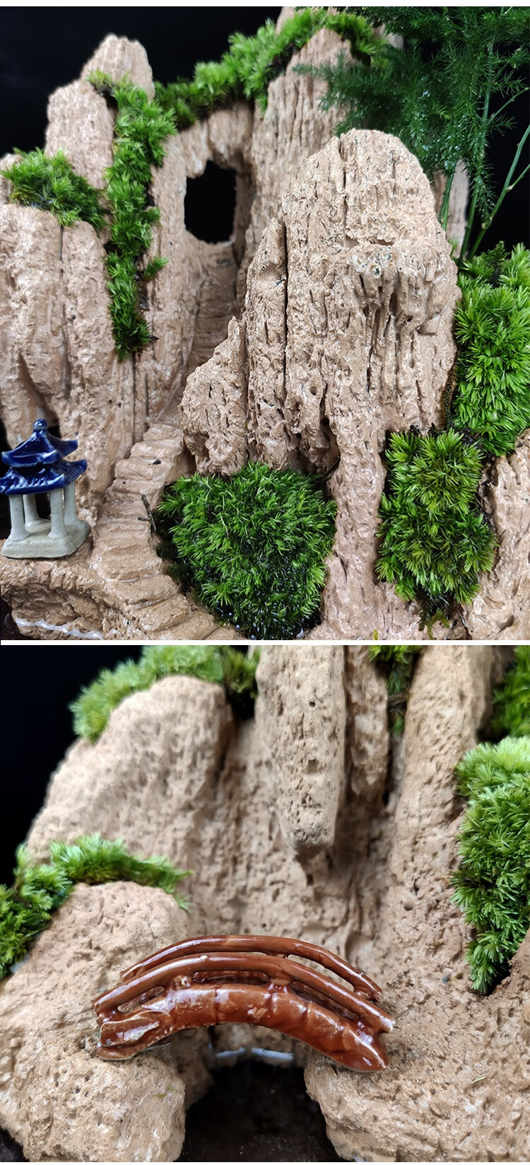 60檬施佐养好发货假山盆景吸水奇石头造景天然植物上水石原山水小