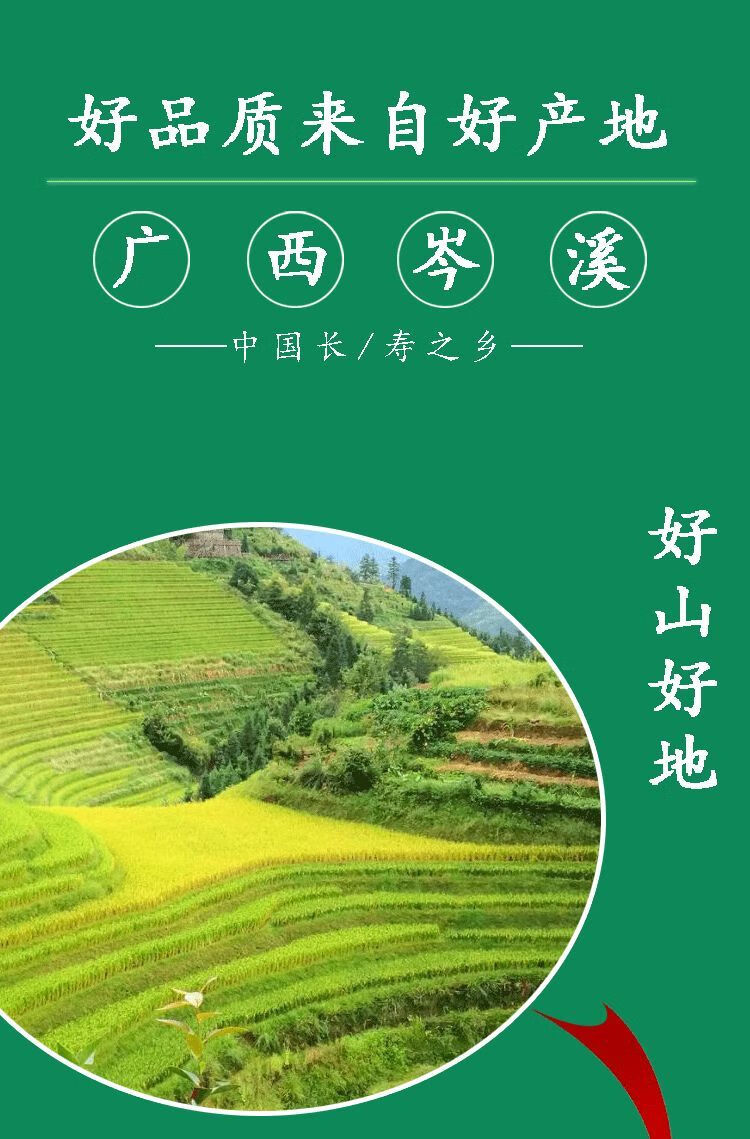 广西特产新鲜陈粟米粟粉龙爪粟鸭脚粟拳头粟粄狗尾粟䅟粑五谷杂粮3斤