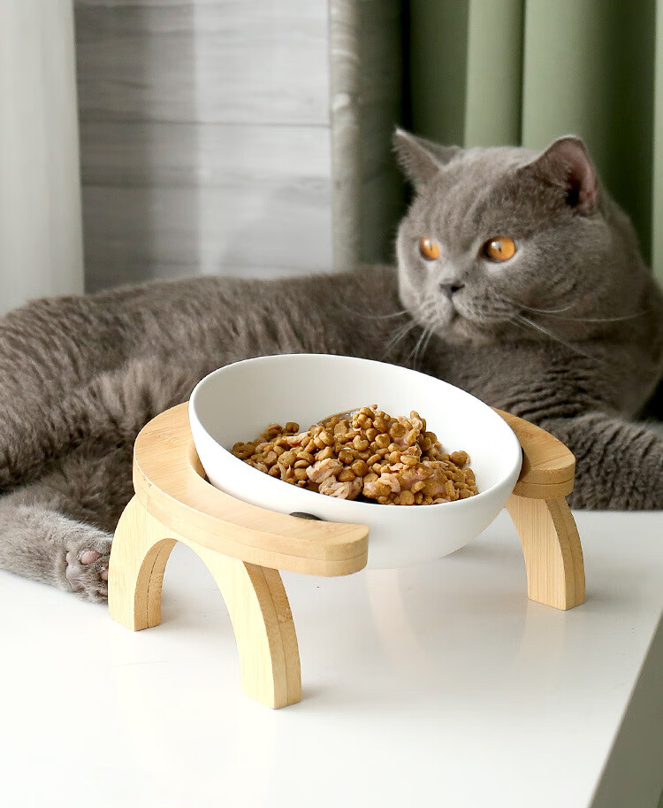 陶瓷猫碗猫咪食盆猫咪粮碗陶瓷盆狗碗饮水碗双碗保护颈椎可调角度 斜