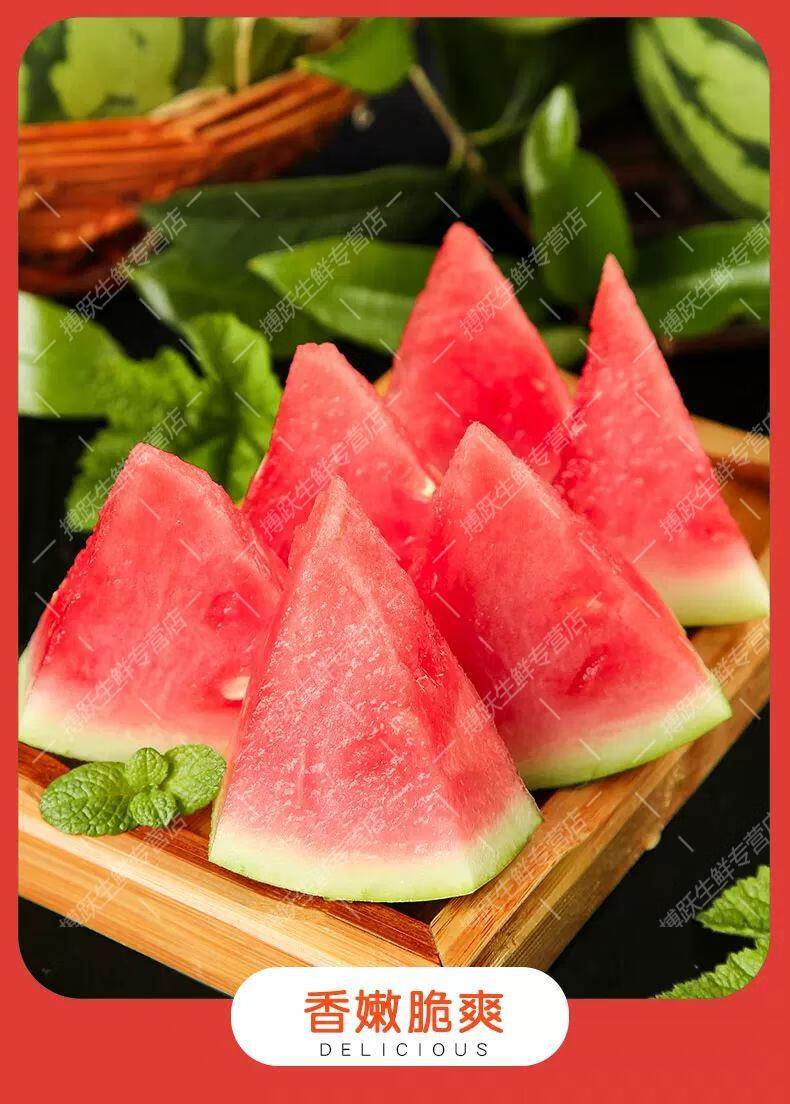 2021甜西瓜冰糖麒麟瓜8424西瓜薄皮甜水果 一个瓜6-7斤