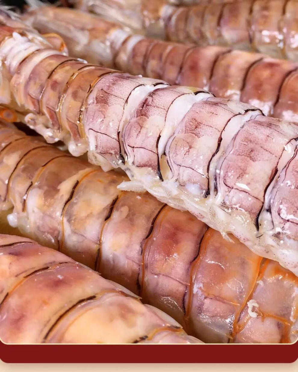 皮皮虾鲜活蒸熟虾菇濑尿虾全母带膏皮皮虾虾爬子特大海鲜批发礼盒 s级