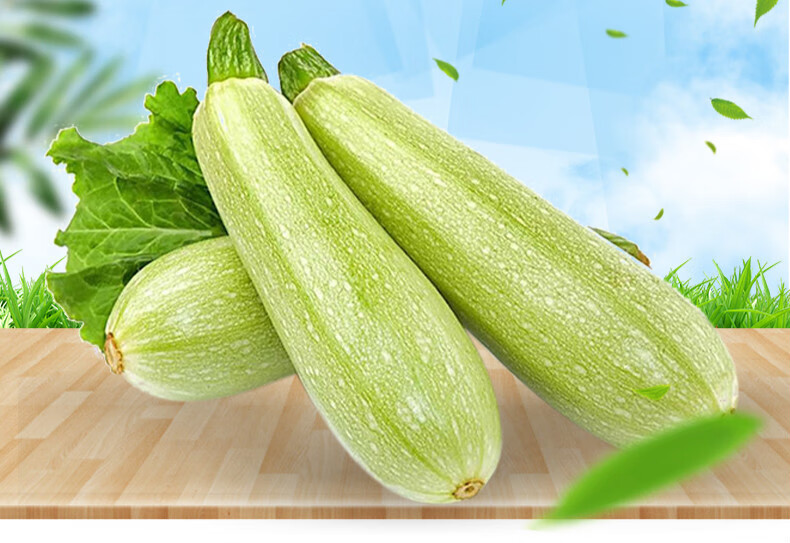 纯香果西葫芦新鲜蔬菜5斤当季时嫩茭瓜整箱农家自种角瓜2500g