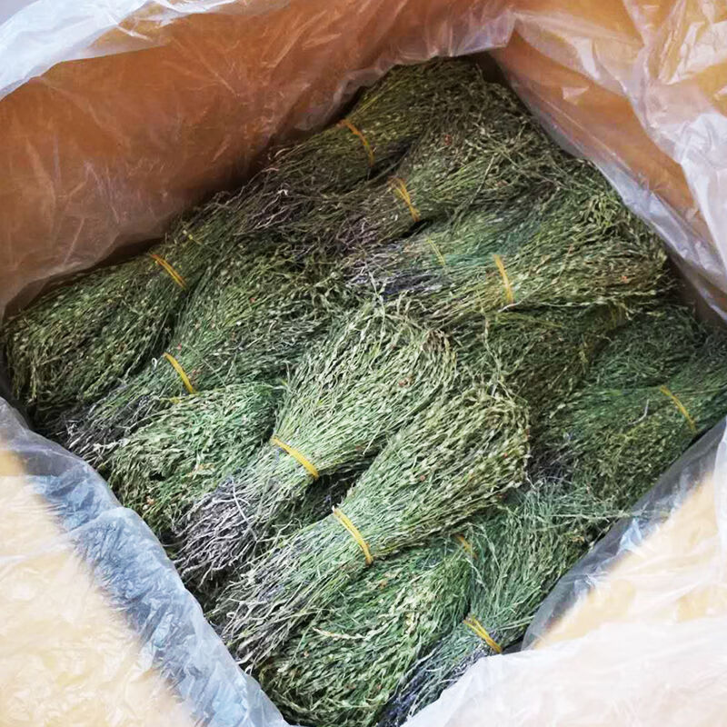 独脚金独脚金疳积草独角金独角金草 非野生独角金