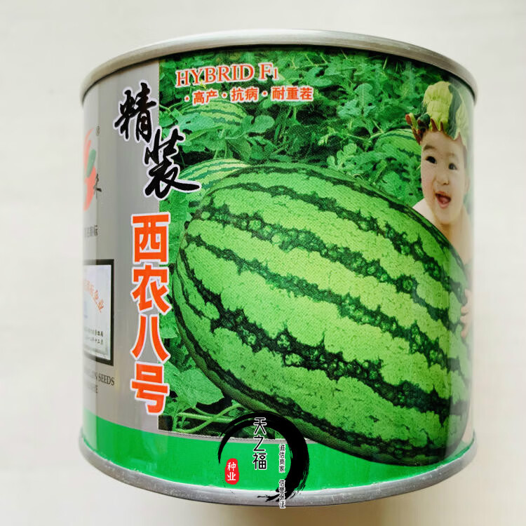 韩育早佳8424懒汉麒麟西瓜种子阳台大田种植早熟抗裂西瓜蔬菜种籽天山