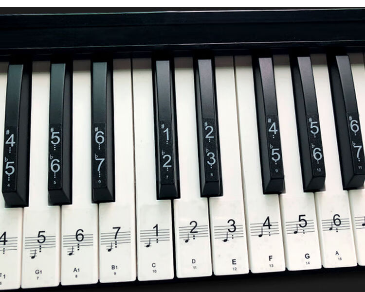 钢琴贴纸简谱五线谱贴电子琴贴纸按键贴电子琴键盘贴白键贴2张黑键贴