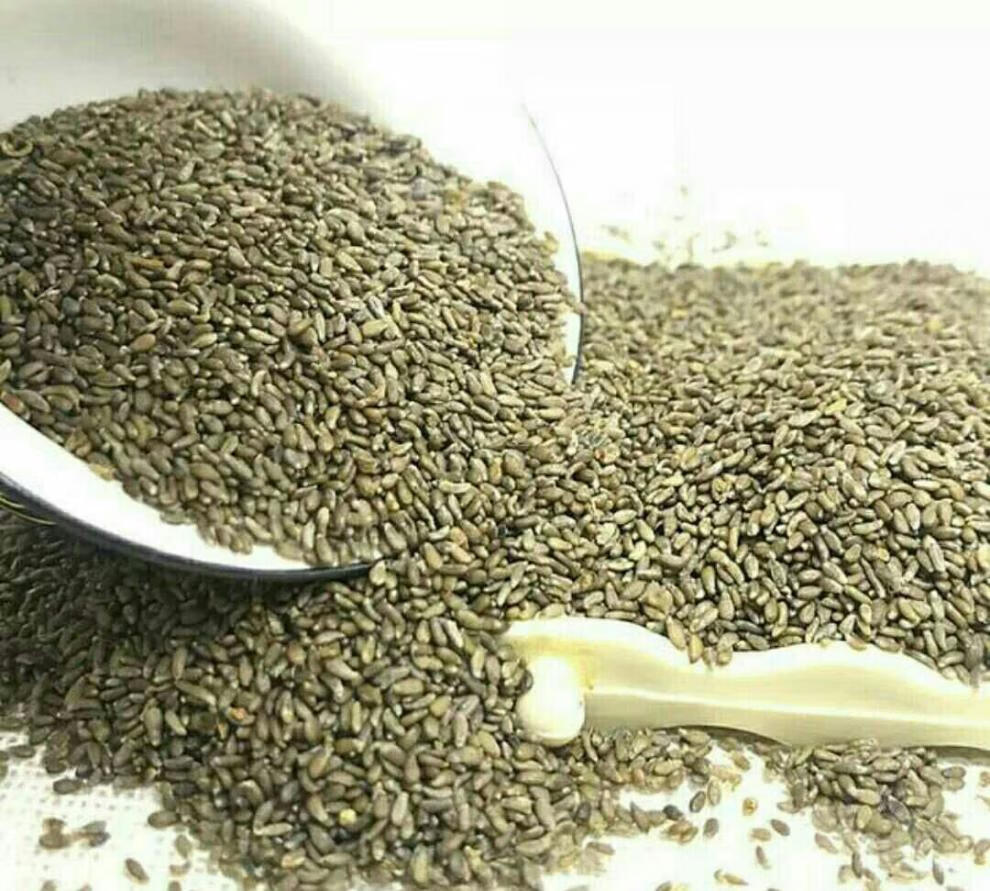 5折 1件甘肃沙漠特产沙蒿籽粉沙蒿子黄蒿子面食用增粘稠剂 沙蒿籽颗粒