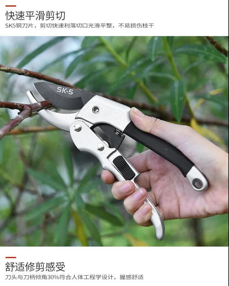 雷帕汀 修枝剪刀果树桑枝剪花剪园艺花艺修剪子修花园林工具 德国进口