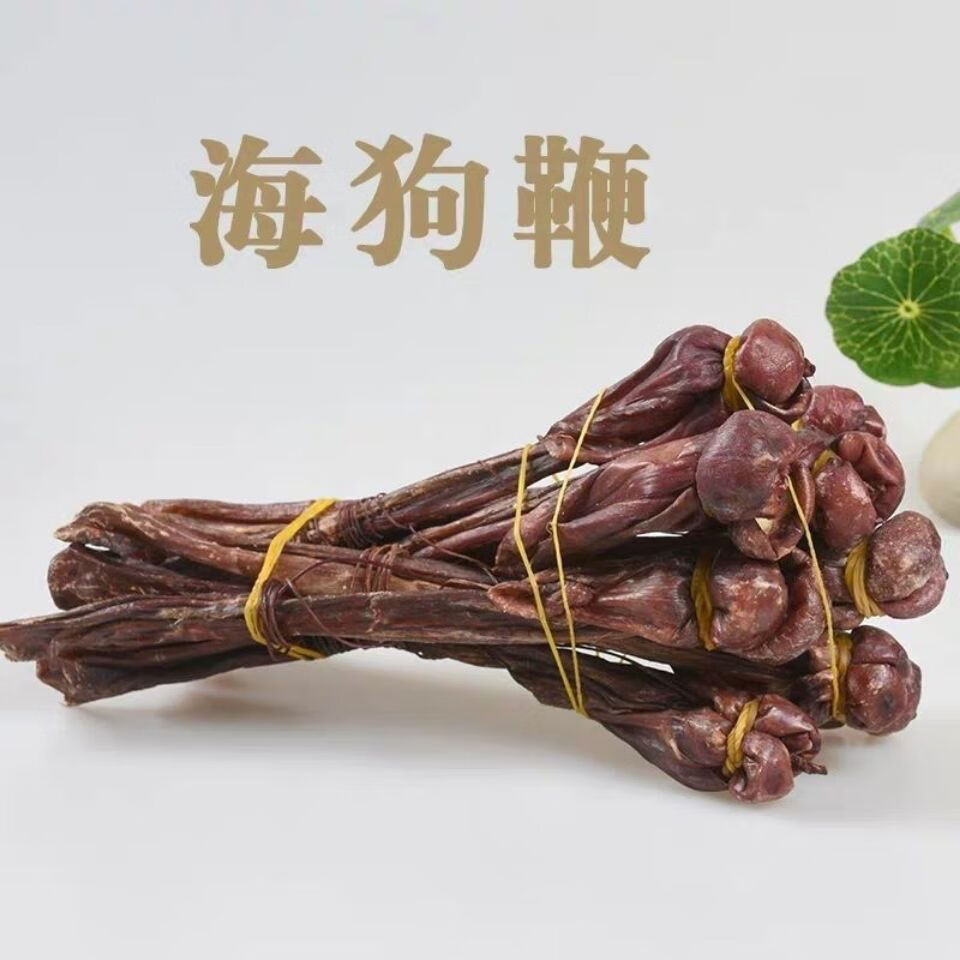 海狗鞭海狗肾男性养生滋补品泡酒料煲汤料中药材整枝重30克左右博精荟