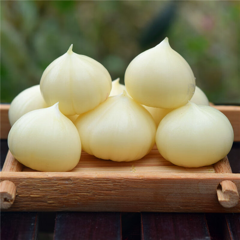 紫皮独头蒜5斤2020新鲜独蒜头干蒜头农产品蔬菜大蒜