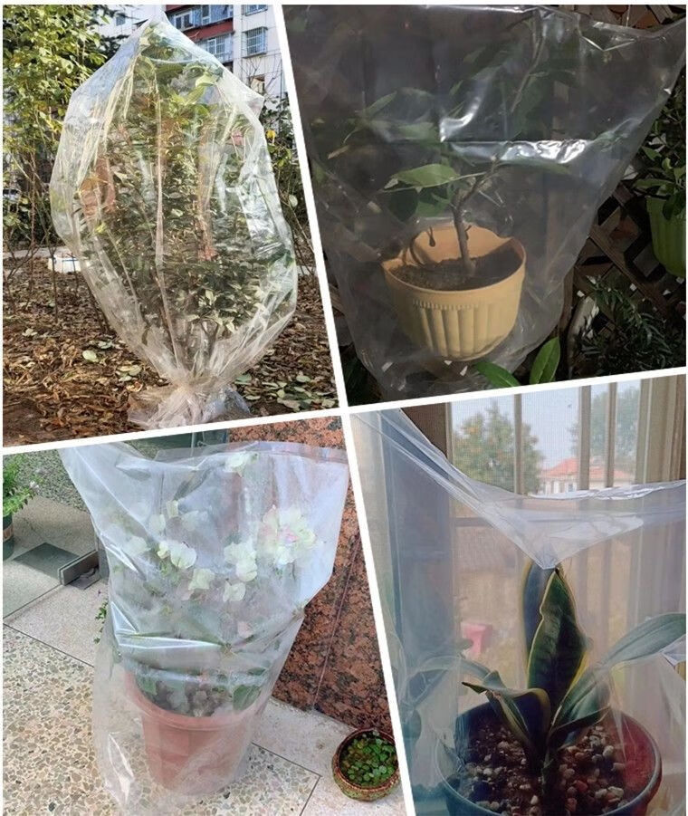 植物冬季保温罩冬天花保温罩室外冬季植物过冬冻袋多肉花卉树木盆栽寒