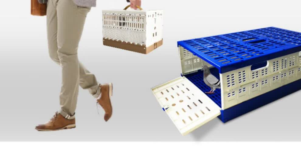 津羽王/裕隆/标榜鸽具鸽子笼塑料放飞笼训放笼报道笼集鸽笼通道笼 73