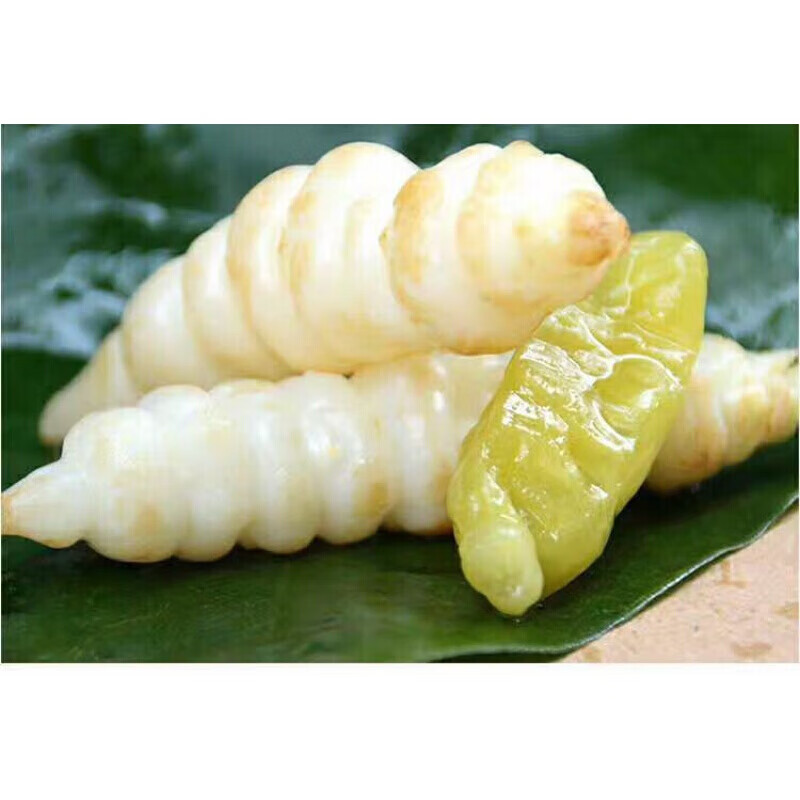 恩施三峡特产农家泡菜地牯牛宝塔菜野珍珠蚕秧子地蚕子玉环菜