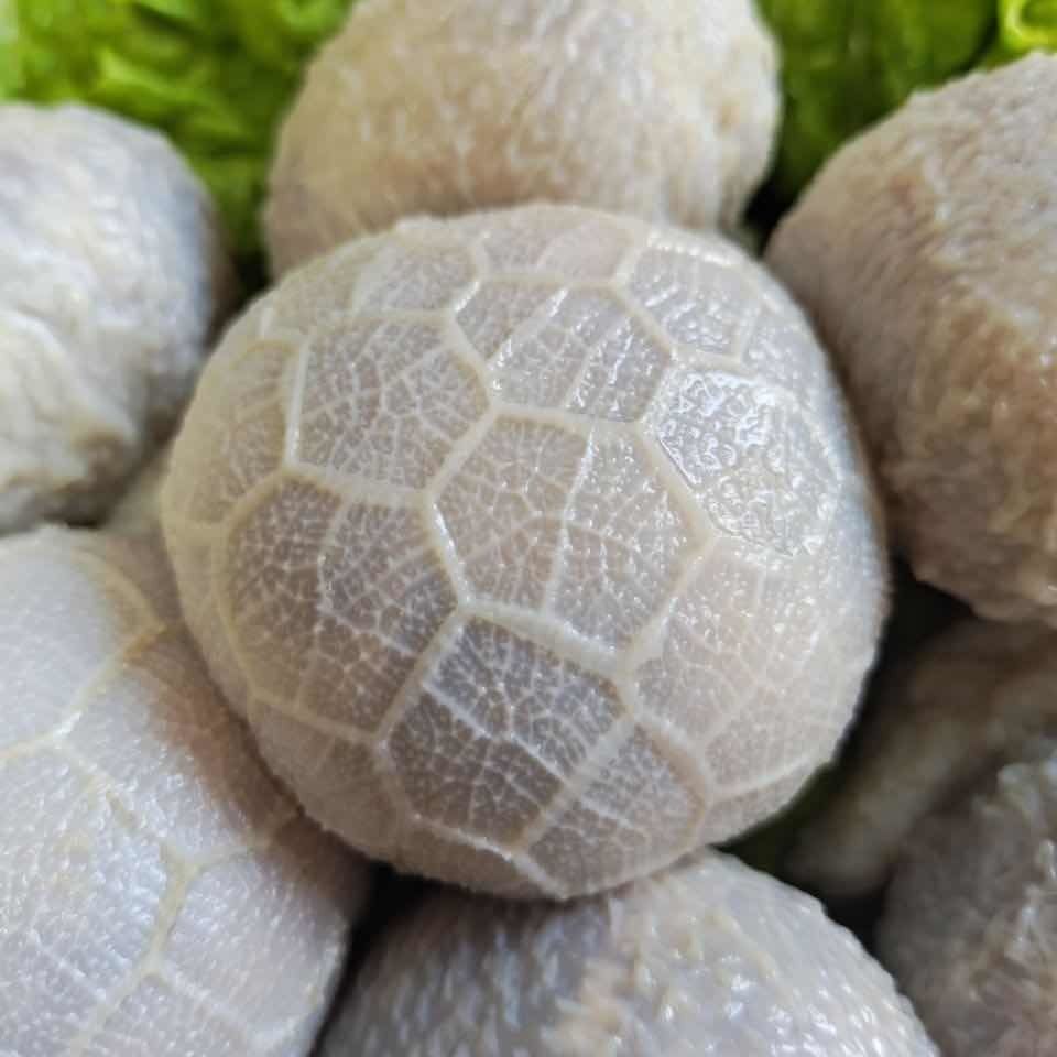 内蒙古草原羊肚包肉肚包羊肚包脑网红快手抖音肚包肉1斤2斤羊肉味滋源