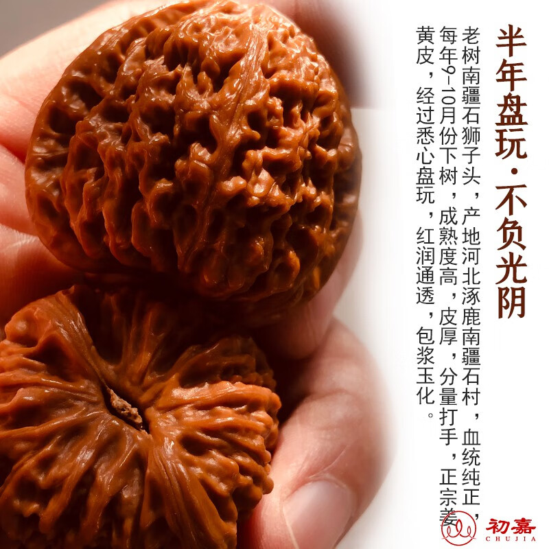 初嘉 南疆石老树野生文玩核桃凹底四座楼狮子头 官帽麒麟纹手玩把玩