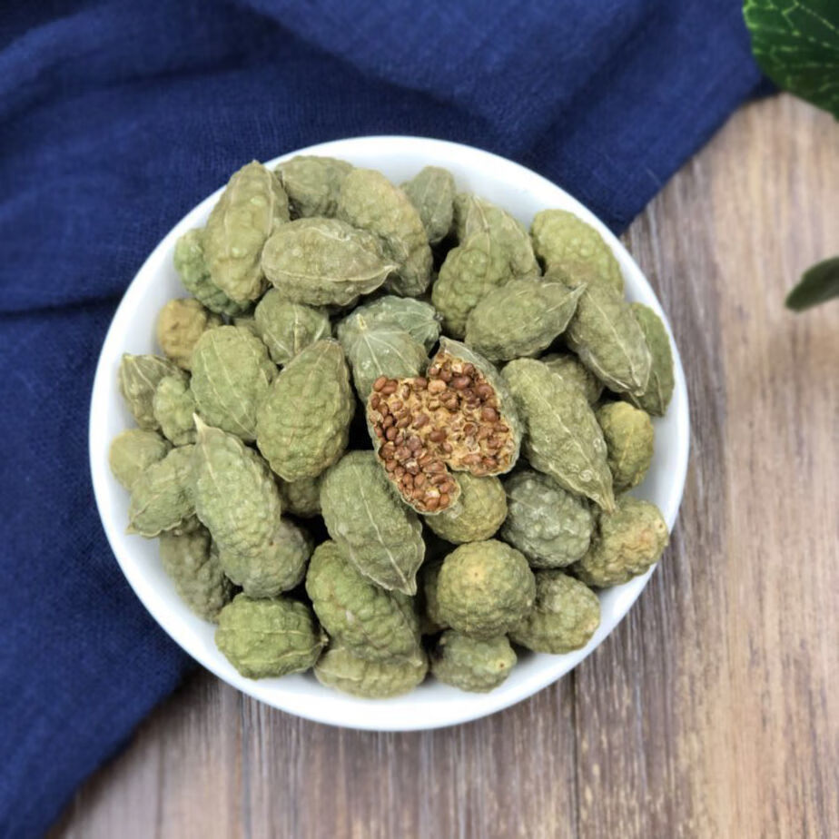 伟博野西瓜中药材泡酒料新疆小西瓜关节腰腿泡酒野西瓜干果野西瓜1500