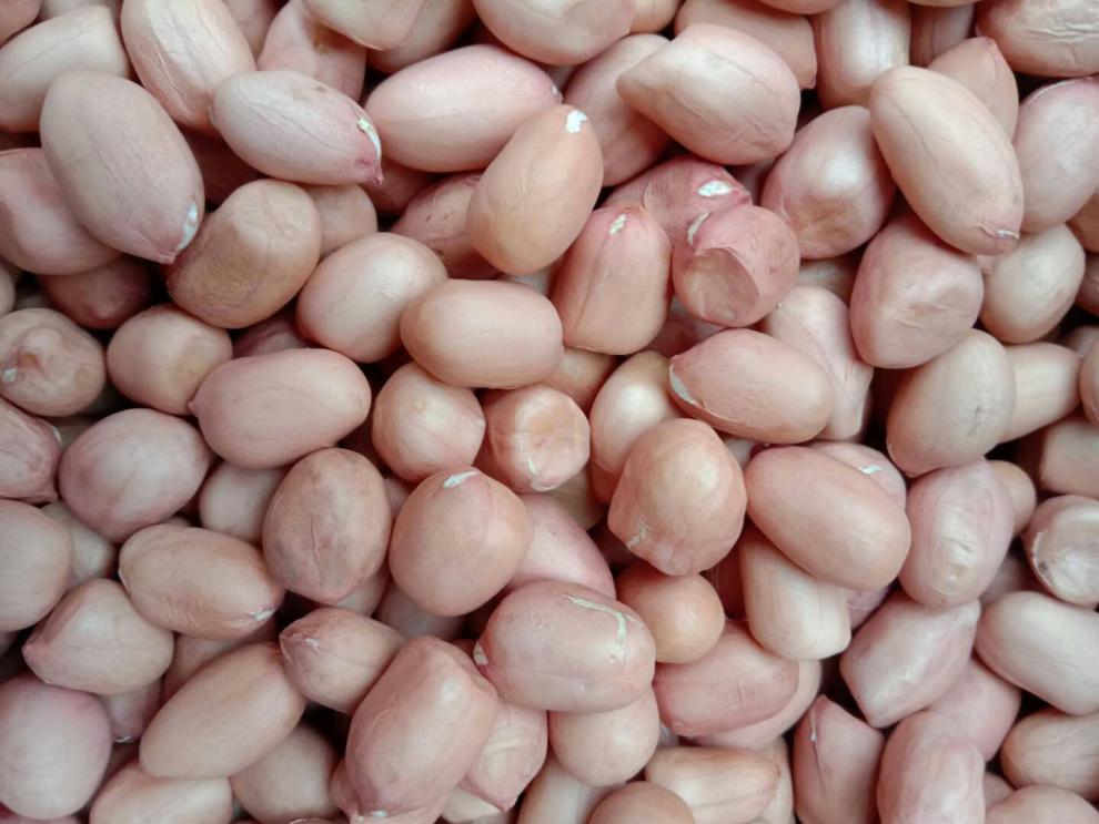 2021山东新鲜精选粉红无壳大粒生花生米5斤特大白沙精选2斤2021新货