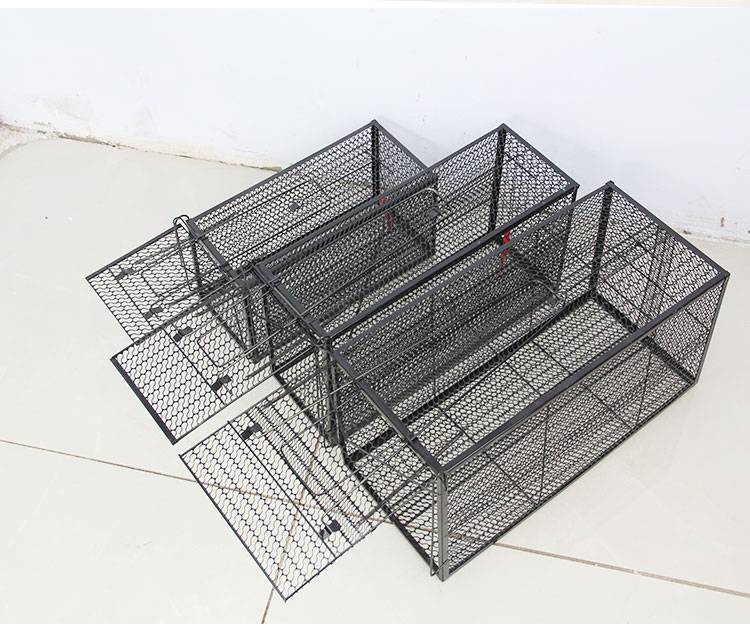 抓兔子的工具捕猫笼全自动捉猫神器大号人道救助驱赶野猫流浪猫逮猫笼