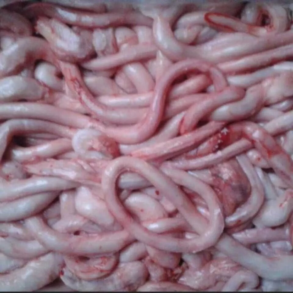 更多参数>>类别:猪货号:cyd6jbxz商品毛重:1.