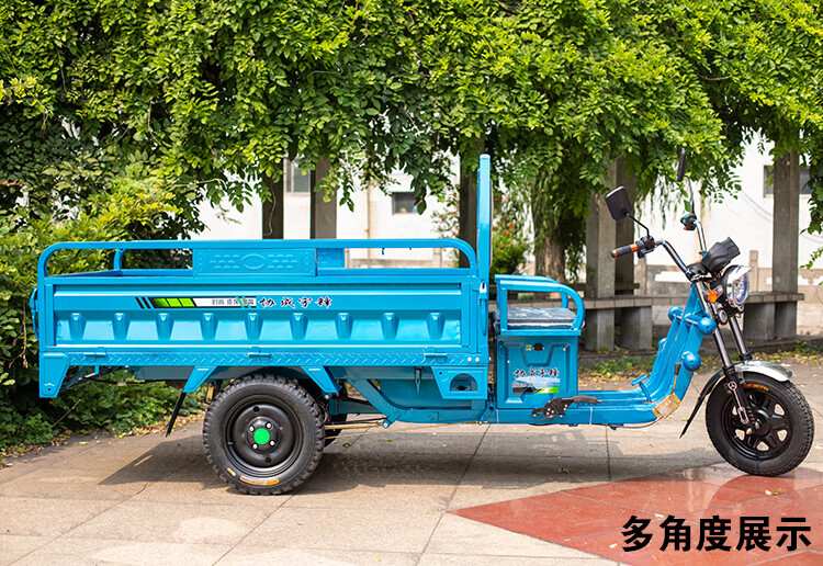 电动三轮车拉货农用车快递载货车摆摊电三轮车带棚电瓶车151米倚天