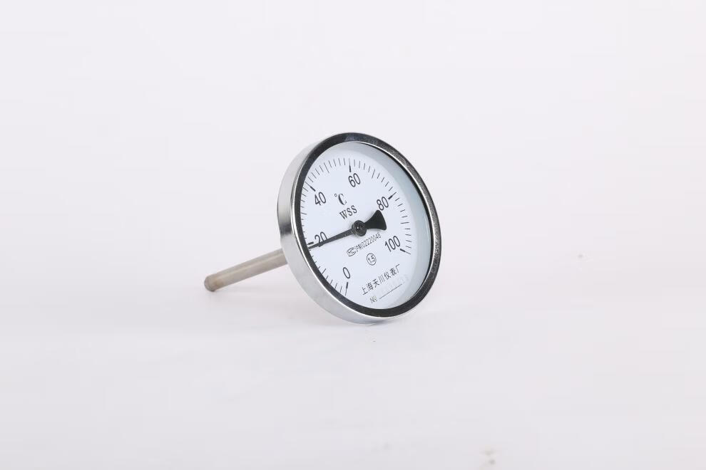 定制上海天川仪表厂表盘式双金属温度计轴向径向指针温度计wss413411