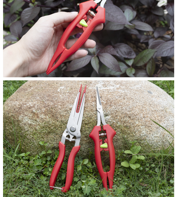 亚弗葡萄剪刀修枝剪园艺稀果剪采摘剪刀园林果树剪刀粗枝花剪摘水果剪