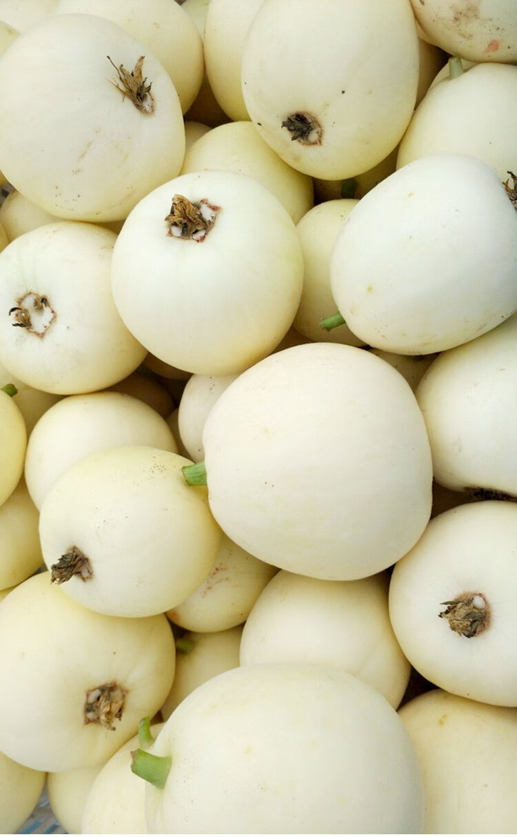 雪奶香甜瓜种子白皮白肉四季种植种籽雪奶香1号甜瓜种子400粒