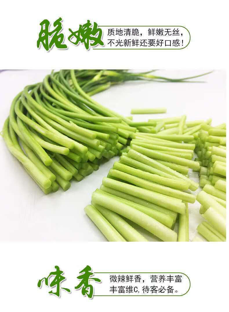 橙伯乐新鲜长蒜薹农家种现摘现发蒜苔自产自销蒜毫青蒜苔蔬菜3斤精装
